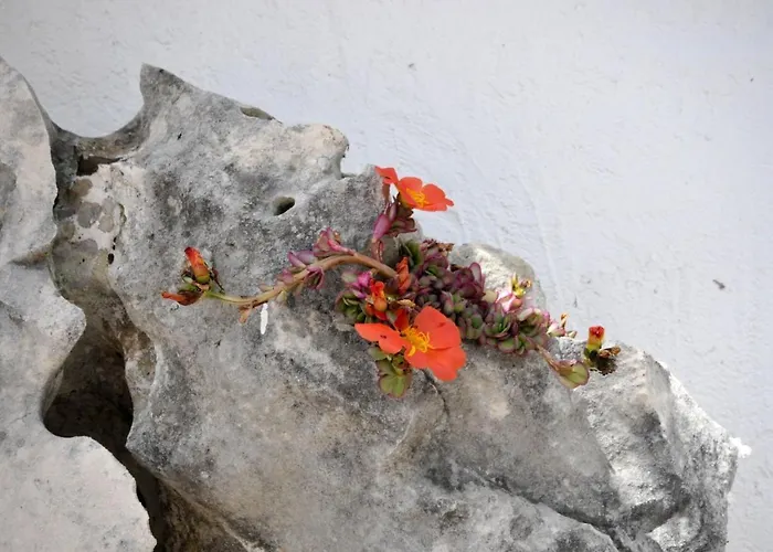 Βίλα Luxury With Pool, Jacuzzi, Sauna And Gym Τρογκίρ