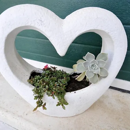 Luxury With Pool, Jacuzzi, Sauna And Gym Βίλα *