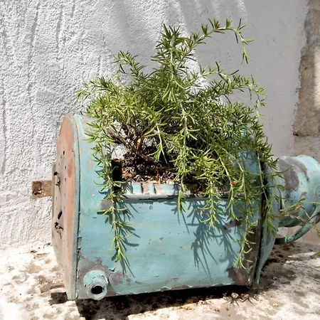 Luxury With Pool, Jacuzzi, Sauna And Gym Villa