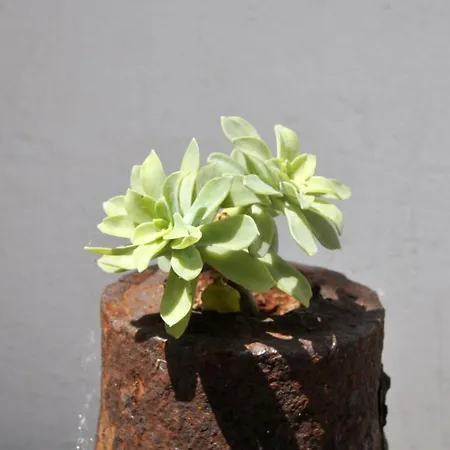 Vila Luxury With Pool, Jacuzzi, Sauna And Gym