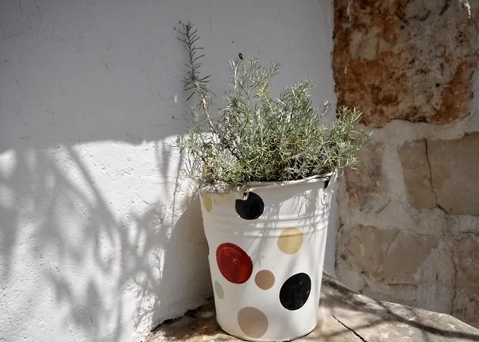 Villa Luxury With Pool, Jacuzzi, Sauna And Gym *