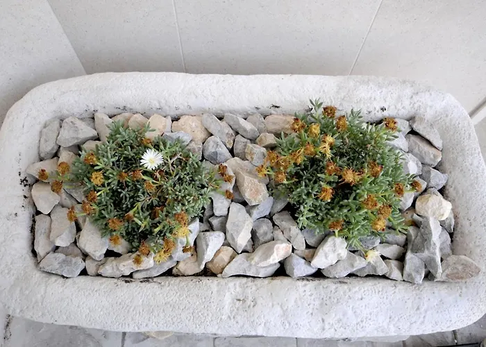 Luxury With Pool, Jacuzzi, Sauna And Gym Trogir