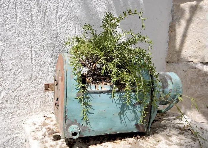 Luxury With Pool, Jacuzzi, Sauna And Gym Villa