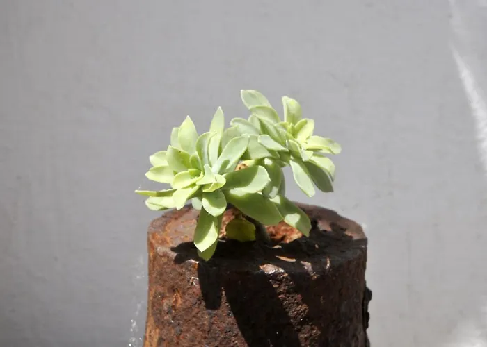 Villa Luxury With Pool, Jacuzzi, Sauna And Gym